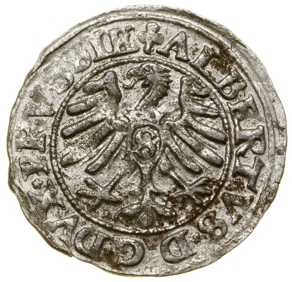 Szeląg, 1550, Królewiec