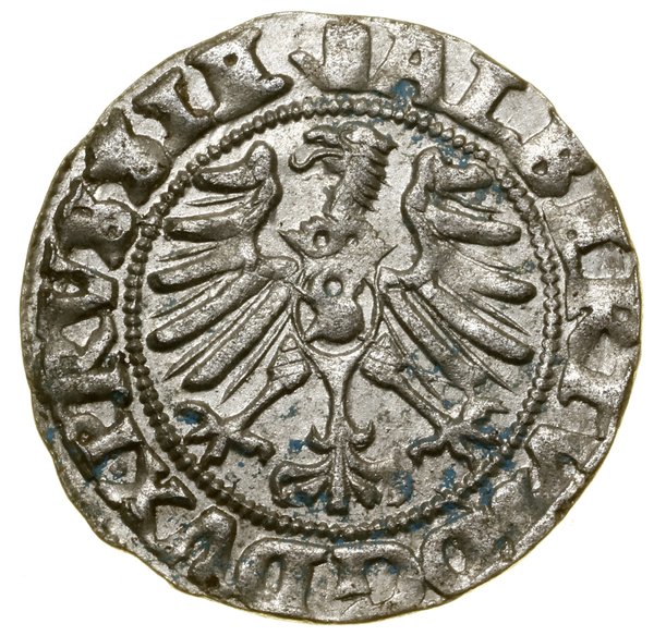 Szeląg, 1557, Królewiec; na awersie nad Orłem „b