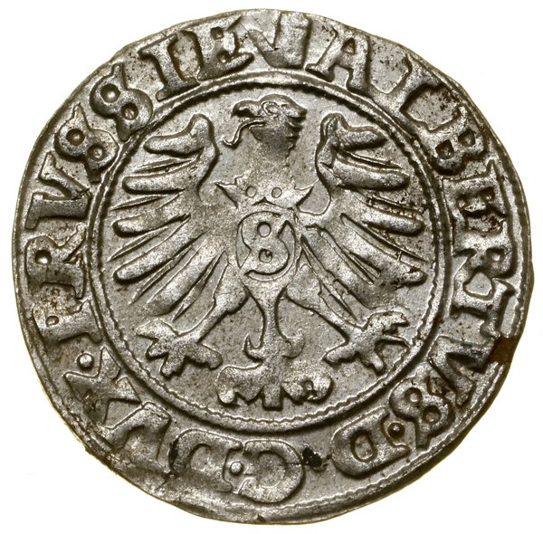 Szeląg, 1558, Królewiec