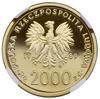 2.000 złotych, 1989, Warszawa; Jan Paweł II – popiersie w lewo na tle kratki; Fr. 144, Parchimowic..