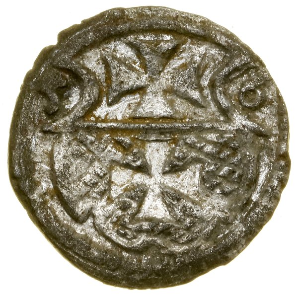 Denar, 1556, Elbląg