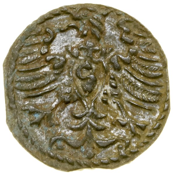Denar, 1571, Królewiec