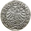 Grosz, 1533, Elbląg; w legendzie awersu PRVSS; Białk.-Szw. 253, CNCE 151 (R2), Kop. 7080, Kurp. (1..