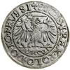 Grosz, 1540, Elbląg; w legendzie awersu PRVSSI; Białk.-Szw. 259, CNCE 195 (R2), Kop. 7086, Kurp. (..