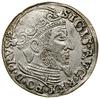 Trojak, 1557, Gdańsk; awers bez obwódki, popiersie króla szerokie; Białk.-Szw. 427, CNG 92.b, Iger..