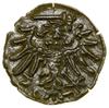 Denar, 1550, Gdańsk; Białk.-Szw. 405, CNG 81.II, Kop. 7346 (R5), Kurp. (1506–1573) 921 (R3), Tyszk..