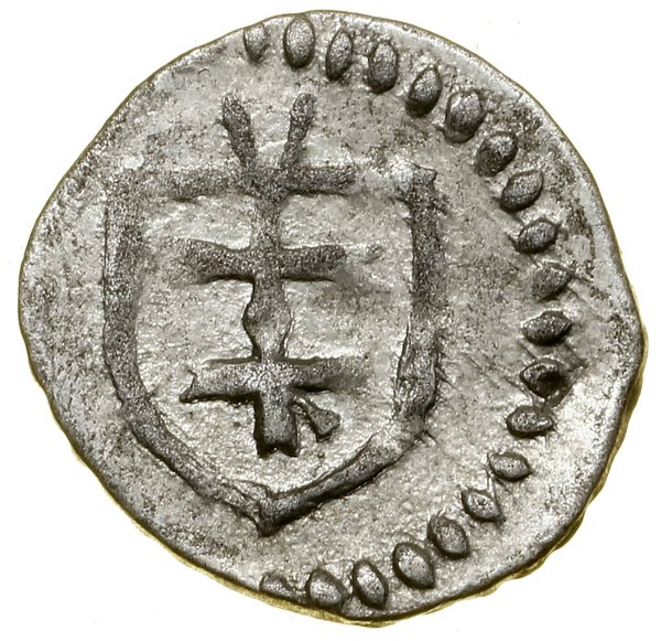 Denar koronny, (od 1404), Wschowa