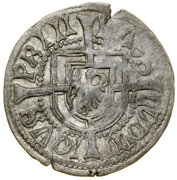 Szeląg z kwiatem nad tarczą zakonną, Malbork