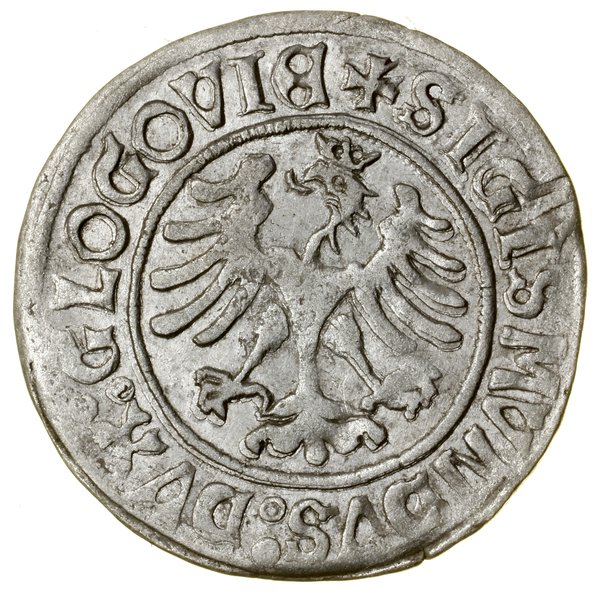 Grosz, bez daty (1505), Głogów