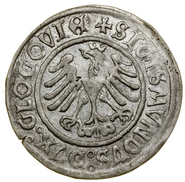 Grosz, 1506, Głogów