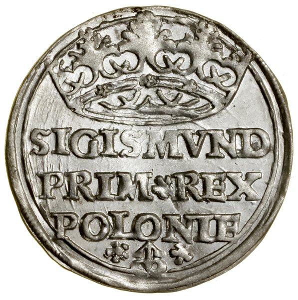 Grosz, 1528, Kraków