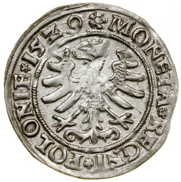 Grosz, 1529, Kraków