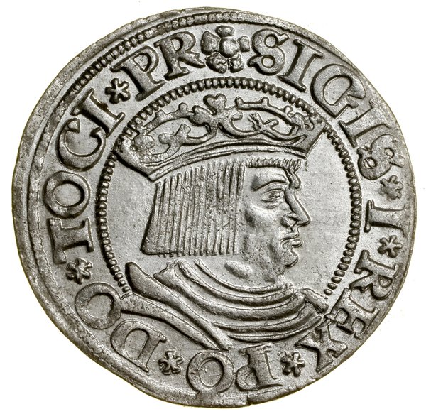 Grosz, 1531, Gdańsk