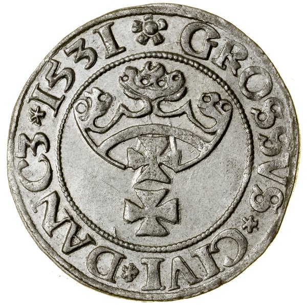 Grosz, 1531, Gdańsk