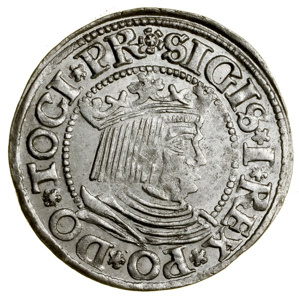 Grosz, 1532, Gdańsk