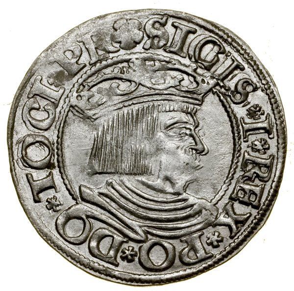 Grosz, 1534, Gdańsk