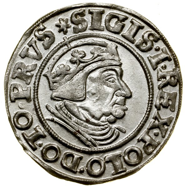 Grosz, 1539, Gdańsk