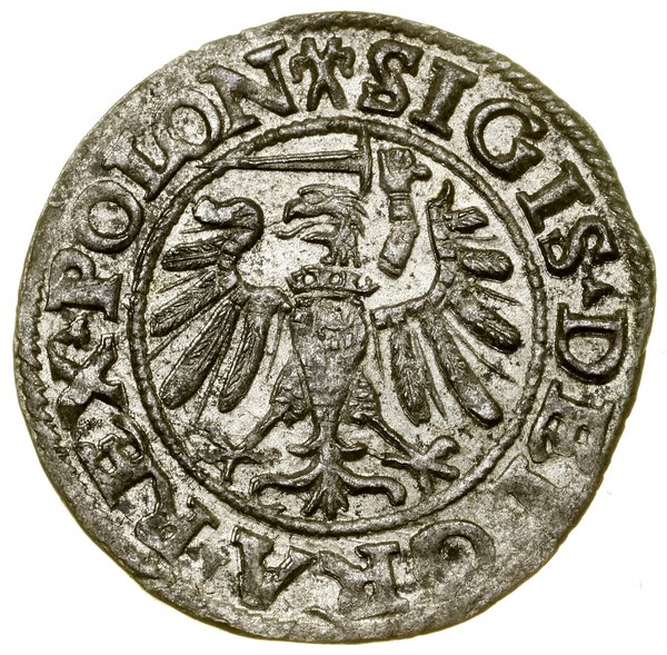 Szeląg, 1538, Gdańsk