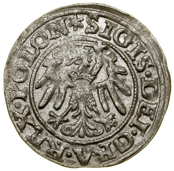 Szeląg, 1546, Gdańsk