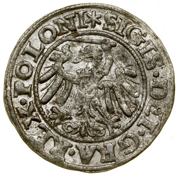 Szeląg, 1546, Gdańsk