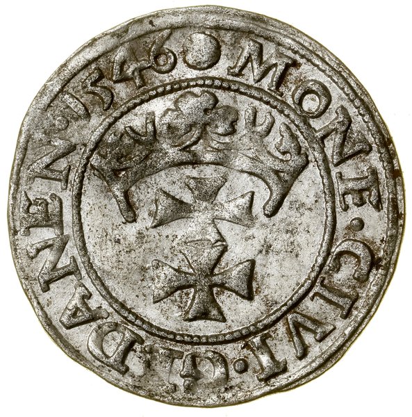 Szeląg, 1546, Gdańsk