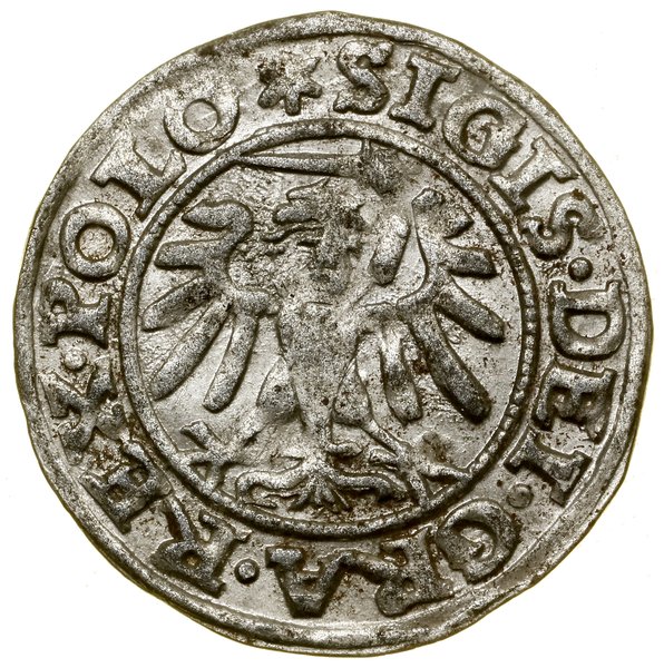 Szeląg, 1547, Gdańsk