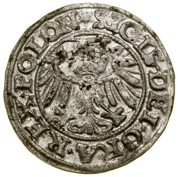 Szeląg, 1547, Gdańsk