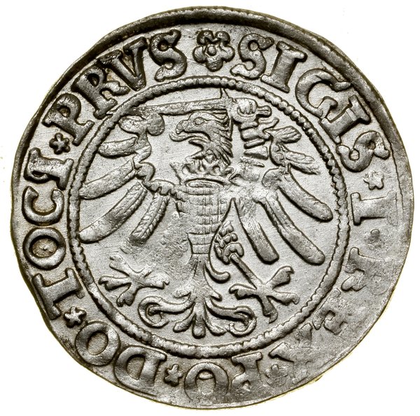 Grosz, 1533, Elbląg