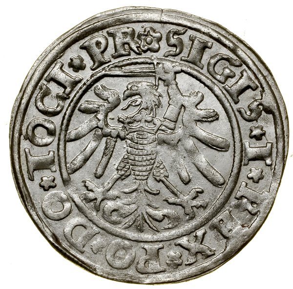 Grosz, 1534, Elbląg