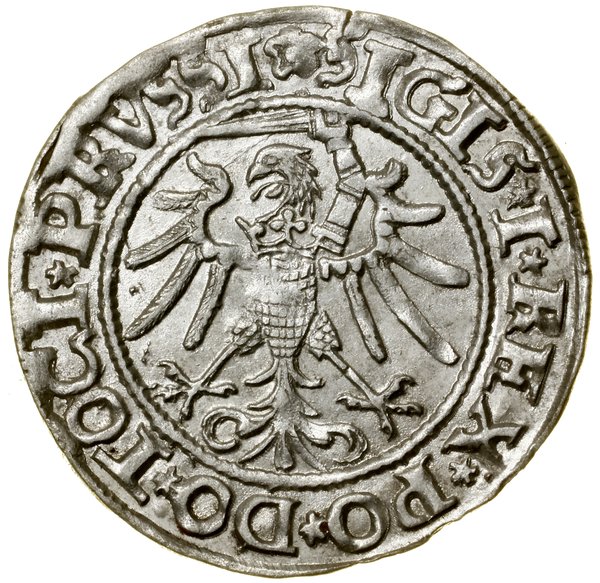 Grosz, 1535, Elbląg