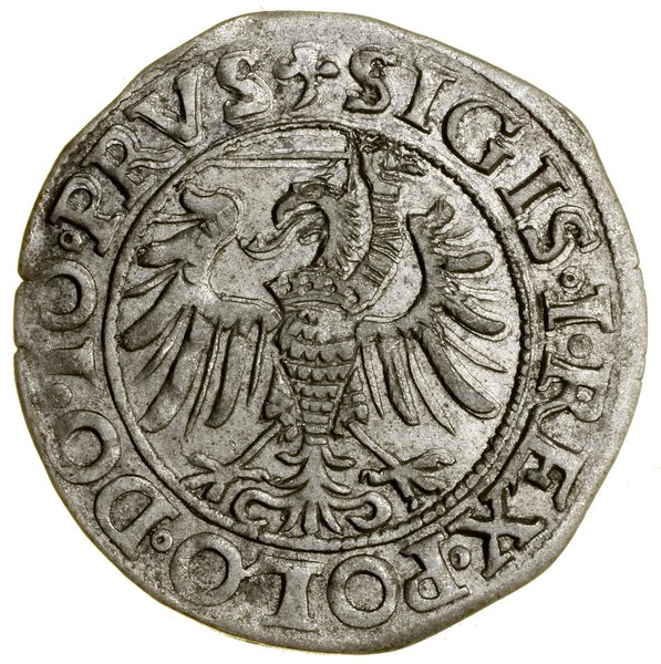 Grosz, 1538, Elbląg