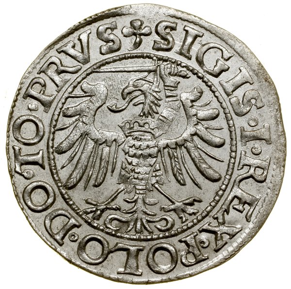 Grosz, 1539, Elbląg