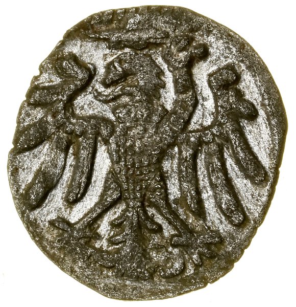 Denar, bez daty, Elbląg