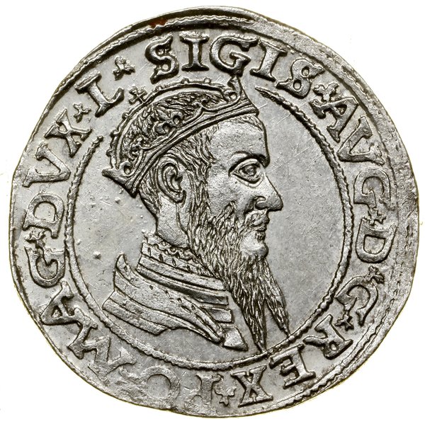 Czworak, 1565, Wilno