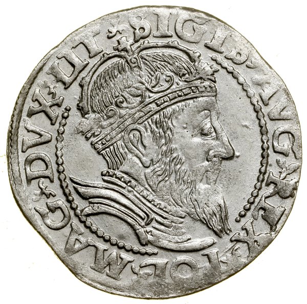 Grosz na stopę litewską, 1559, Wilno