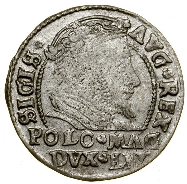 Grosz na stopę polską, 1546, Wilno