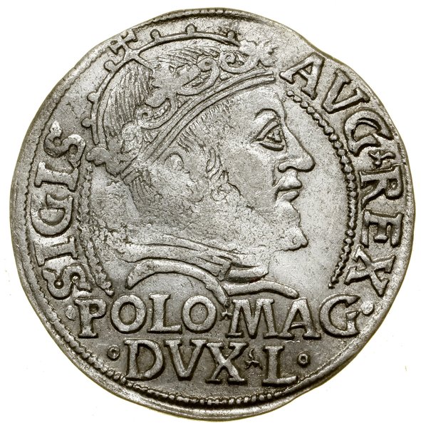 Grosz na stopę polską, 1546, Wilno