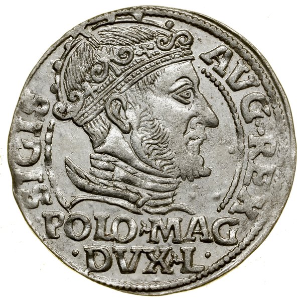 Grosz na stopę polską, 1548, Wilno