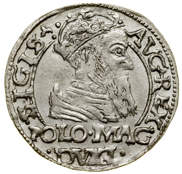 Grosz na stopę polską, 1566, Tykocin