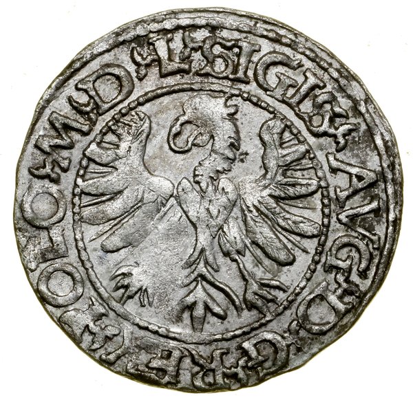 Półgrosz, 1566, Tykocin