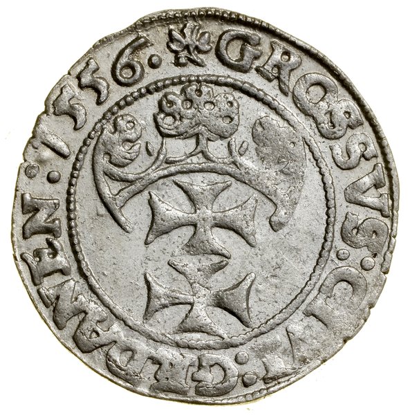 Grosz, 1556, Gdańsk