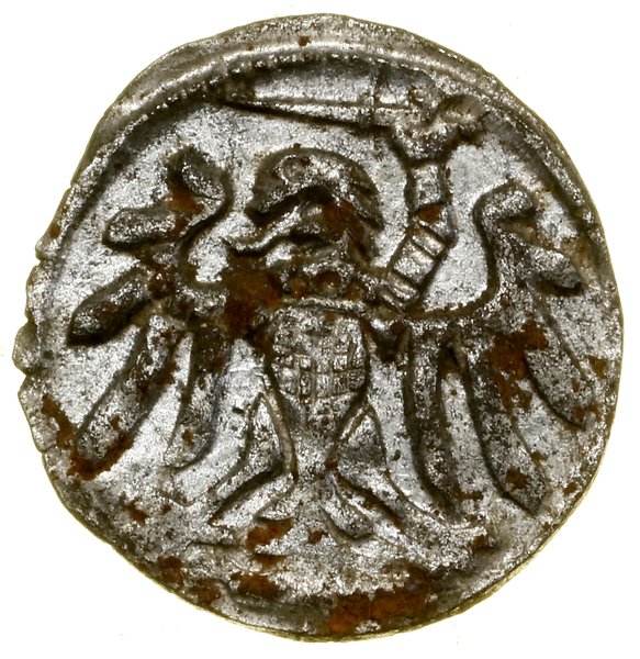 Denar, 1549, Gdańsk