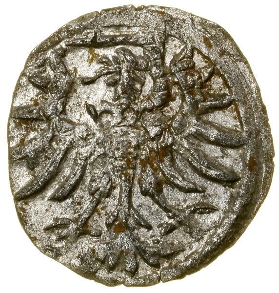 Denar, 1555, Gdańsk