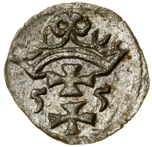 Denar, 1555, Gdańsk