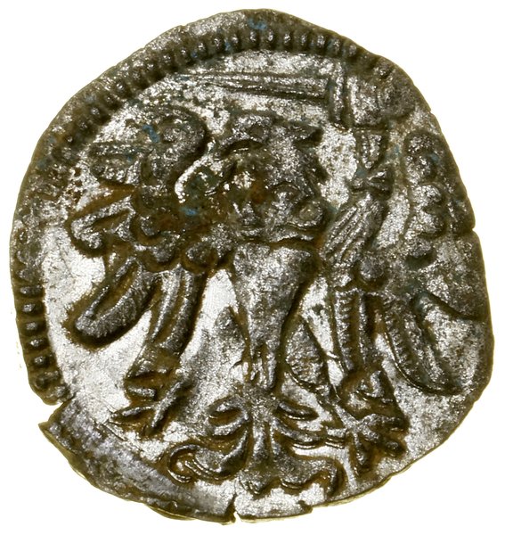 Denar, 1557, Gdańsk