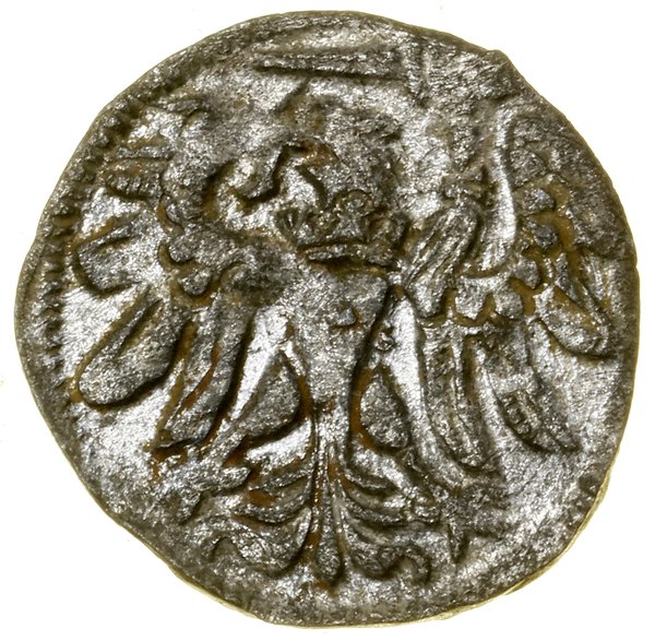 Denar, 1558, Gdańsk