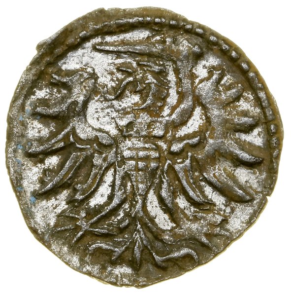 Denar, 1554, Elbląg
