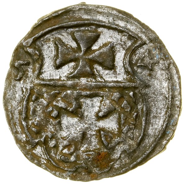 Denar, 1554, Elbląg