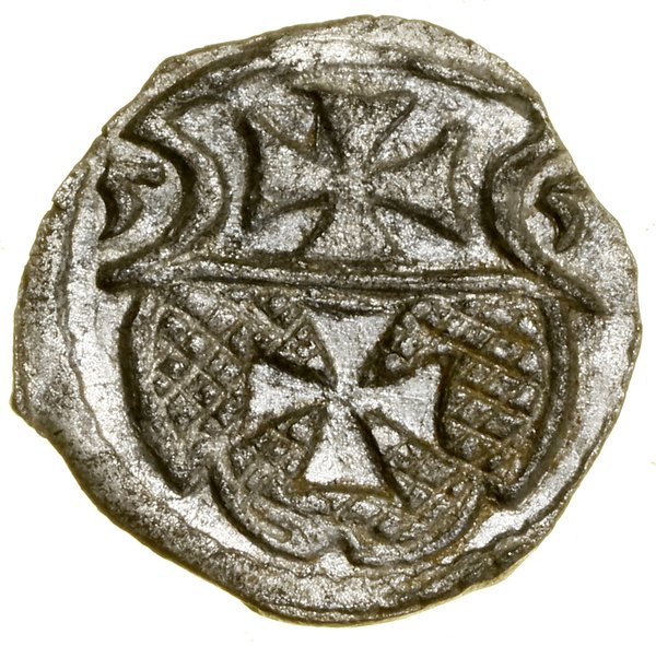 Denar, 1555, Elbląg