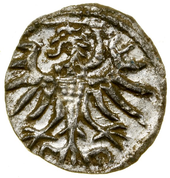 Denar, 1557, Elbląg
